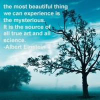 /album/galeria-de-fotos/albertquote-jpg1/