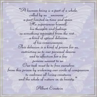 /album/galeria-de-fotos/einstein-quote-humandelusion-jpg/